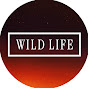 Wild Life Documentary Avatar