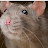 @Pronouns-rat-and-mouse