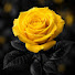 iSmyCE0jTxg-channel-avatar-Everything Love