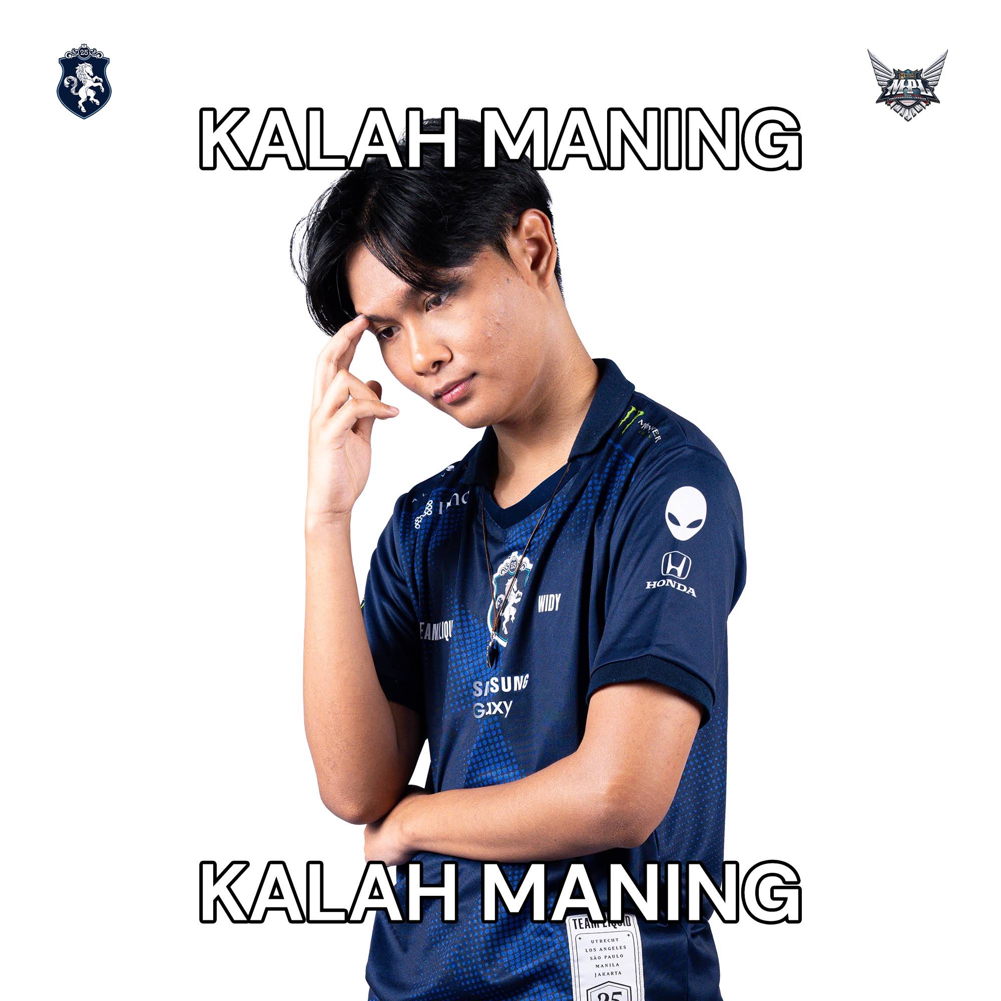 Post from Team Liquid ID