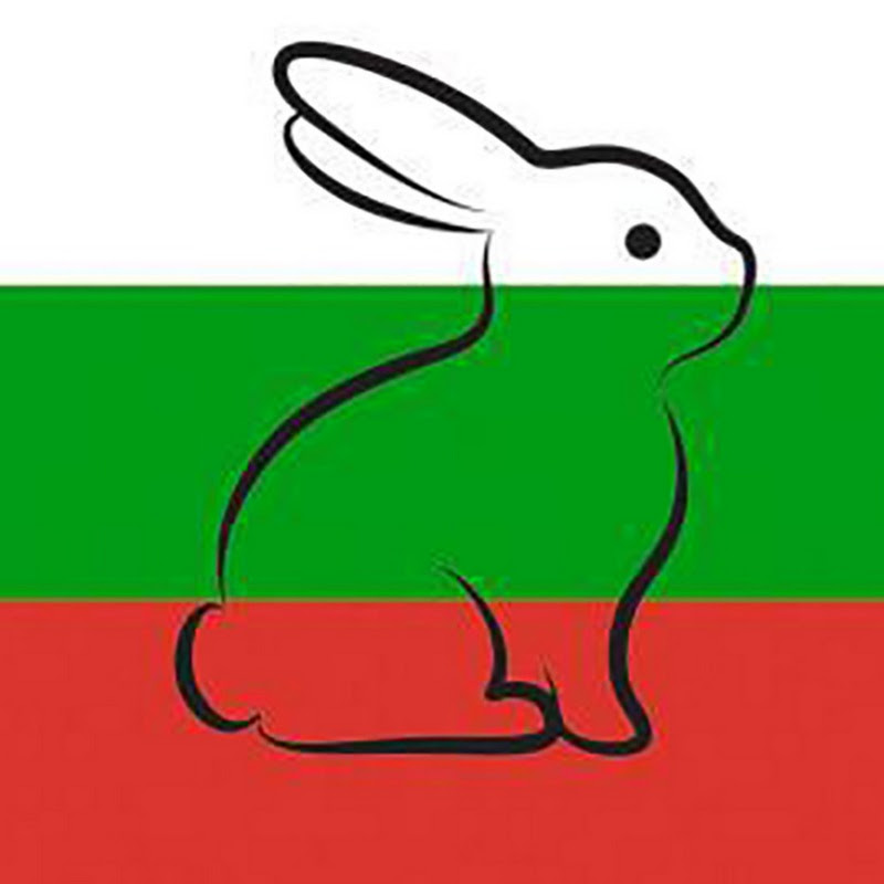 UFC - CELEBRITIES AND CLASSICS logo