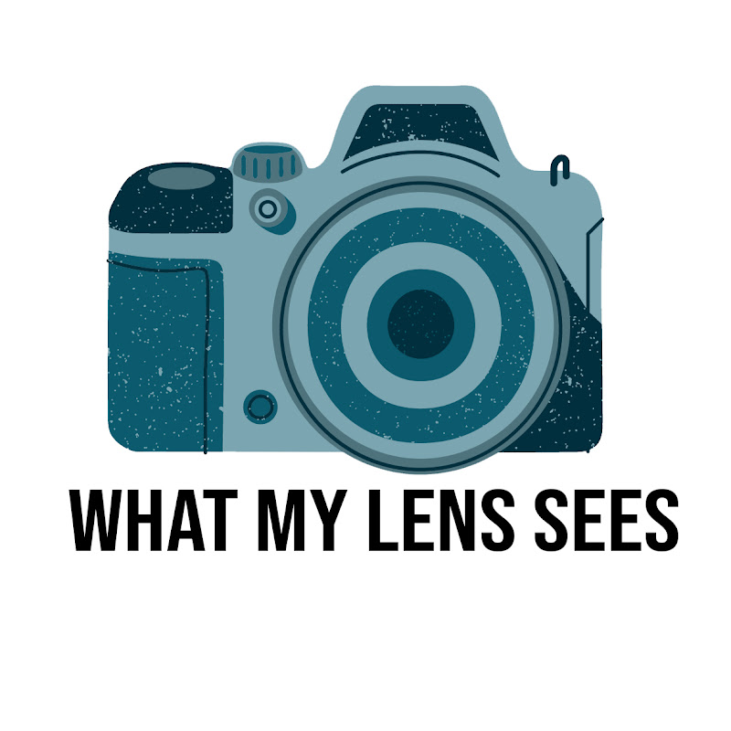 What My Lens Sees