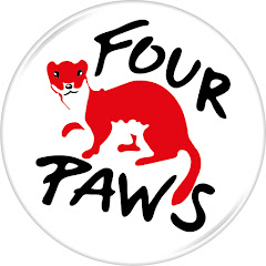 FOUR PAWS