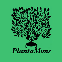 PlantaMons