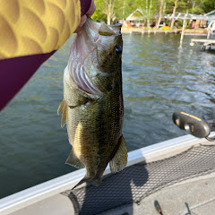 bas_fishing