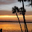 @location_florida Avatar