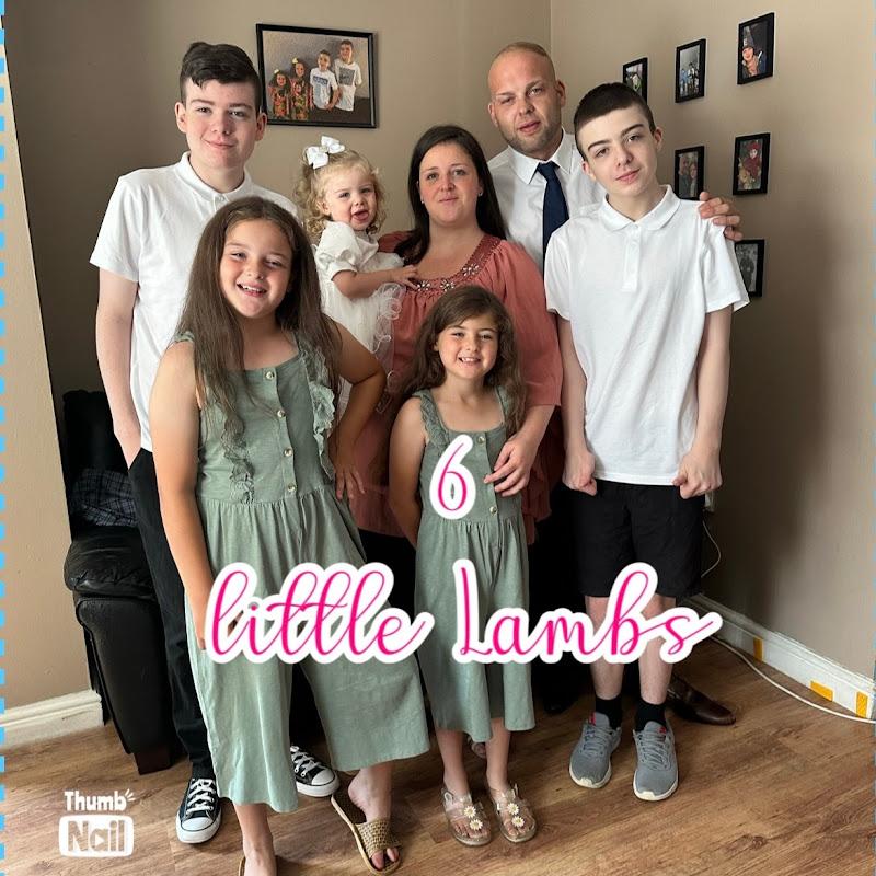 6 Little Lambs