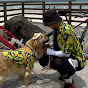 킹둘리_여행ingDOG 채널 아바타