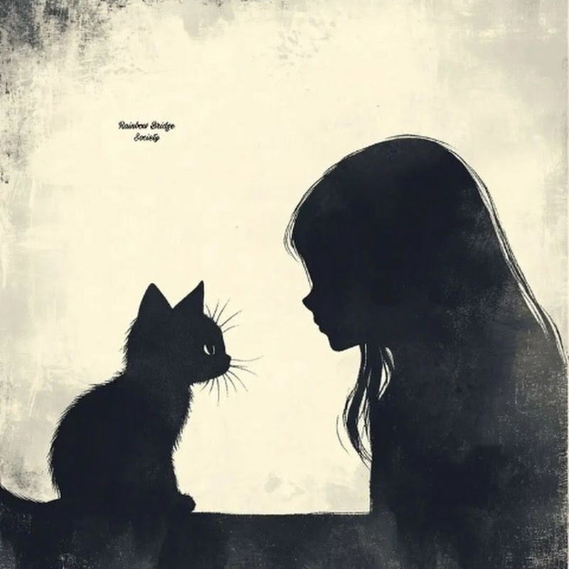 {☆𝓼𝓪𝓳𝓪☆}