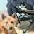@With-doglife