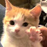 アイコン
