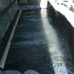 東京凡人 / 温泉探訪 一人旅