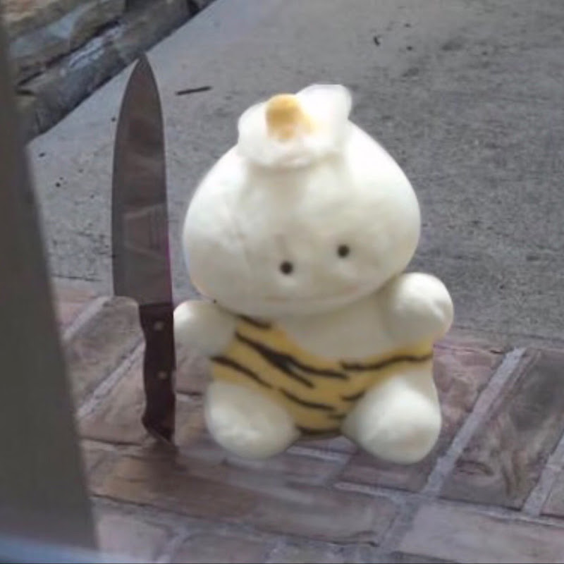 老實說熊熊