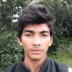 Mahendra Singh Dhami