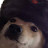 @profo8692 Avatar