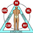 RGpeVghWmP8-channel-avatar-Kinesiologic by Professor Vasilieva
