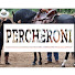 w7RA1DKXn-0-channel-avatar-Percheroni