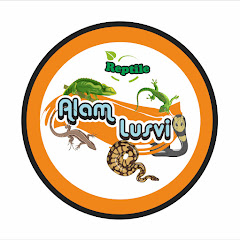 Логотип каналу ALAMLUSVI