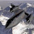 @Lockheed_SR-71-Martin