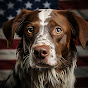 Brittany Dog USA logo