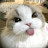 @Gwyd01