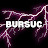 BURSUC2.0