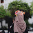 @حور-ك1ط3م