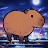 @Hyper_capybara