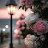 @Flowers23115