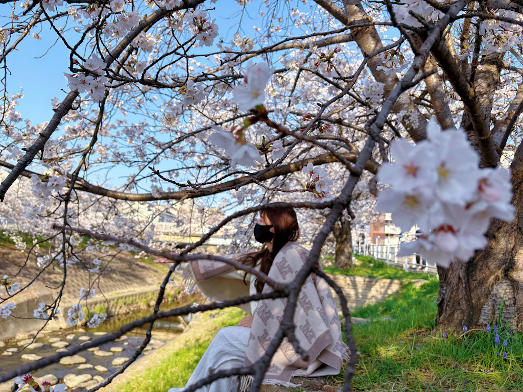 alan阿兰 - YouTube