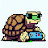 The Tortoise Gaming