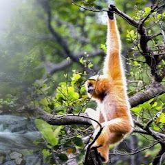 スカッと共感物語