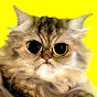 CATS TV - Game for Cats Avatar