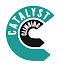 IH-bNbR2WWI-channel-avatar-Catalyst Climbing