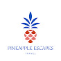 Pineapple Escapes Travel logo