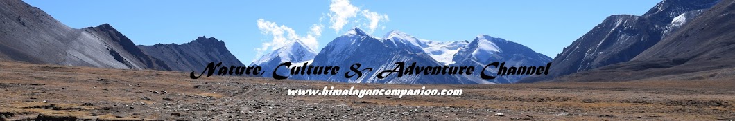 Himalayan Companion Avatar de chaîne YouTube