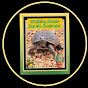Walking Rocks Turtle Retreat logo