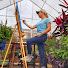 wnweJpeKJa8-channel-avatar-My Carolina Garden