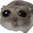 @HAMPSTER_DUDE