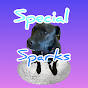 Special Sparks