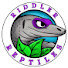R85ov310ioI-channel-avatar-Riddler Reptiles