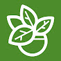 Inntinn Pure Living logo
