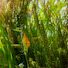 WwLaQTCWb_0-channel-avatar-NHINH&BEEN