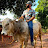 Xucrão