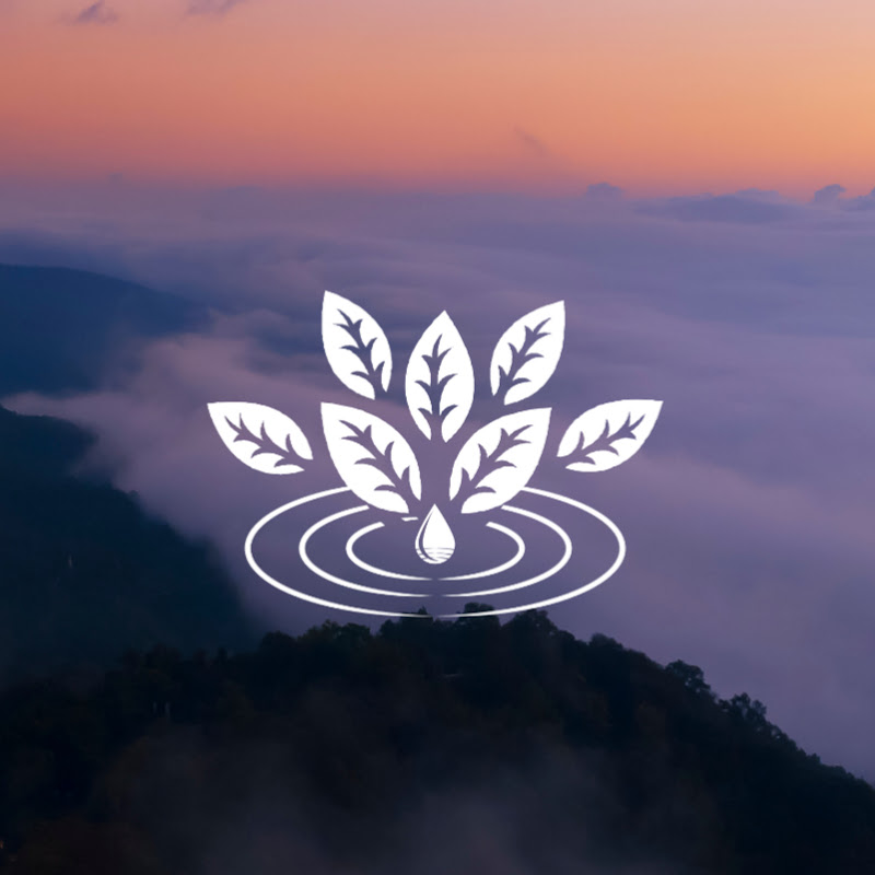 The Quiet Thoughts - Relaxing Music