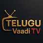 Telugu Vaadi TV Plus logo