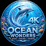 N8kPFYkdCOM-channel-avatar-Ocean Wonders 4K - HVH