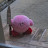 @kirbywithaknife1722