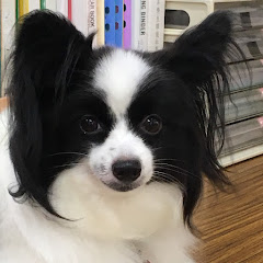 狗狗音樂老師アイコン画像