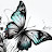 @Lov_Butterfly